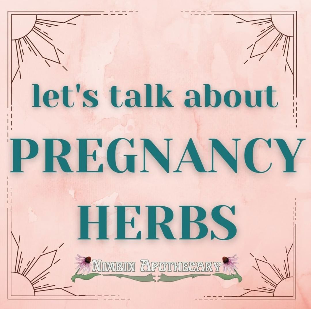 {{ Herbs & Pregnancy }}