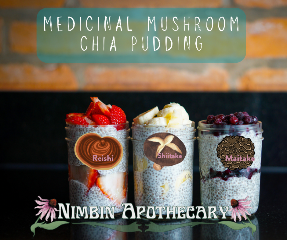 Medicinal Mushroom Chia Pudding Recipe