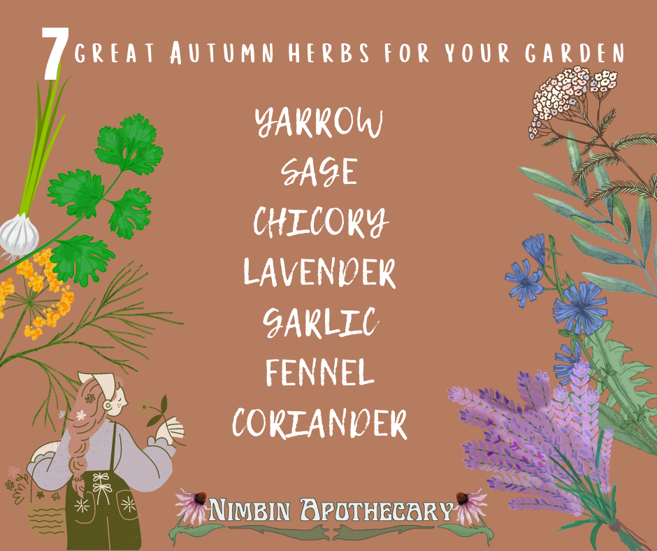 Seven great Autumn herbs for your garden