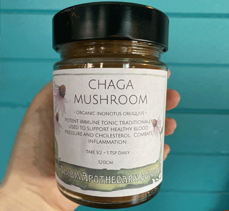 Chaga Mushroom Powder