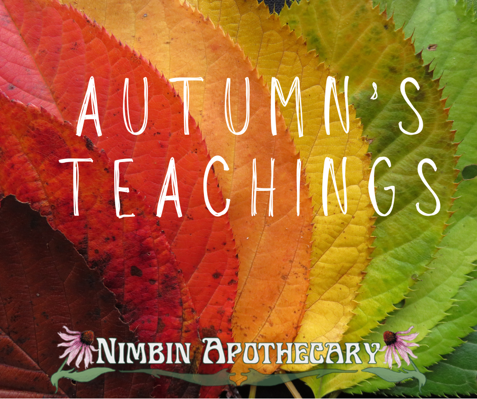 Great habits to support the change of season into Autumn