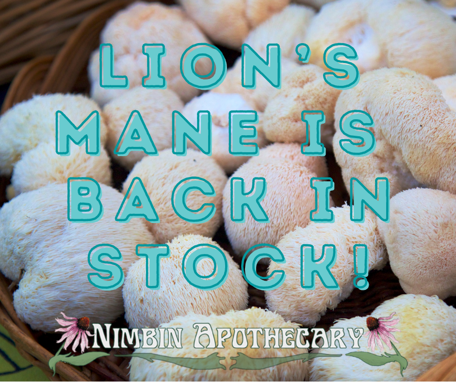 It’s all about the mind with Lion’s Mane