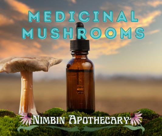Medicinal Mushrooms