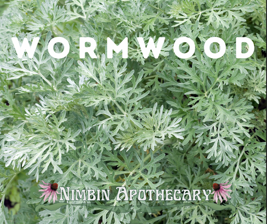 { WORMWOOD ::: Artemisia absinthium }