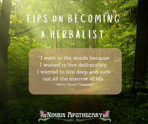 Tips on becoming an herbalist