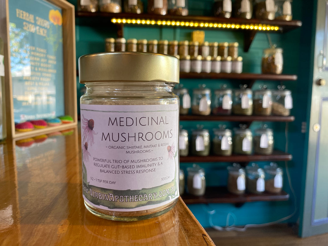Medicinal Mushroom Powder
