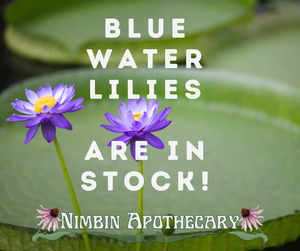 How to use the Blue Water Lilies