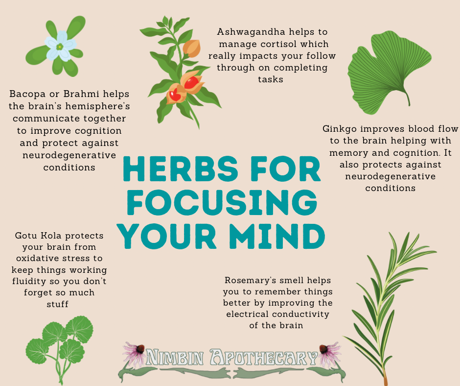 Herbs for focusing your mind