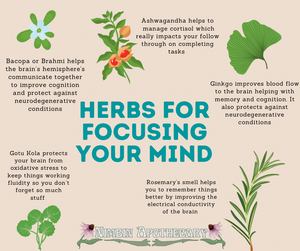 Herbs for focusing your mind