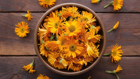 Calendula for Skin: Benefits of Calendula Balm, Oil and Dried Flowers