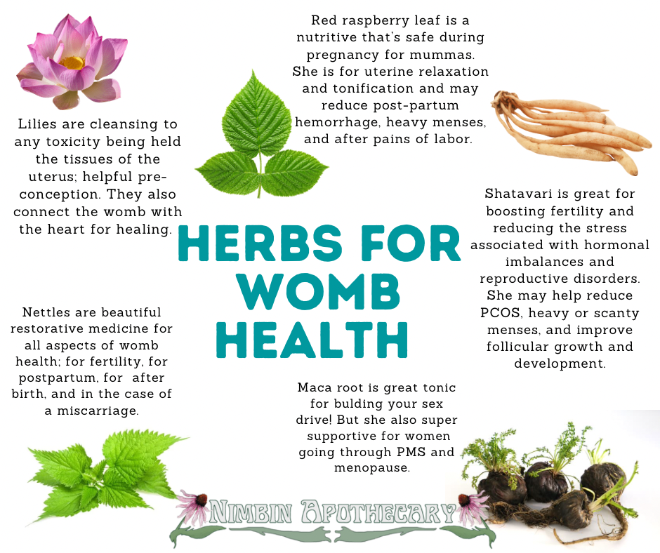 Herbs for Womb Health