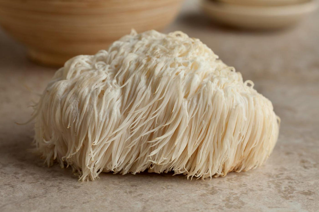 Lion's Mane Mushroom Benefits, Dosage and How to Use It
