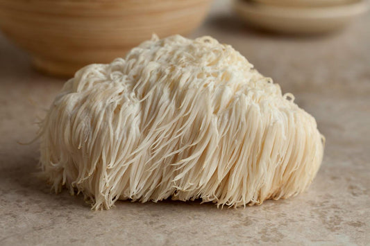 Lion's Mane Mushroom Benefits, Dosage and How to Use It