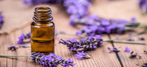 Nimbin Apothecary sells a wide range of essential oils, blended oils, massage oils and perfume oils online