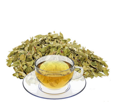 Nimbin apothecary sells Buchu online, a delicious  lemon fragrance addition to tea blends
