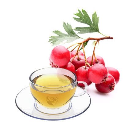 Nimbin apothecary sells hawthorn berries crushed online, for heart and circulation