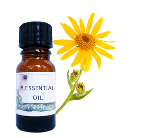 Arnica infused oil for muscles tendons and joints