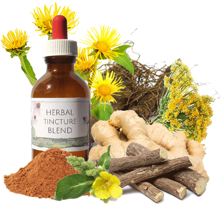Bronchial Mix - Herbal Extract