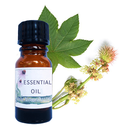 Nimbin apothecary sells castor oil online, a nutritive agent used in cosmetics