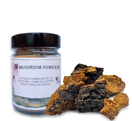 Chaga Mushroom Powder