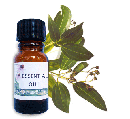 Nimbin apothecary sells cinnamon leaf oil