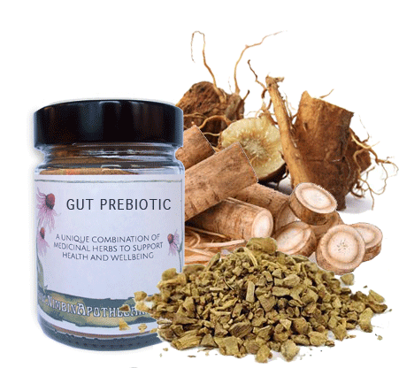 Gut Prebiotic