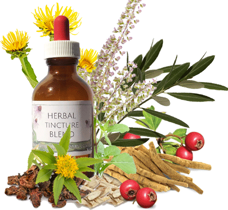 Immunity & Resilience - Herbal Extract