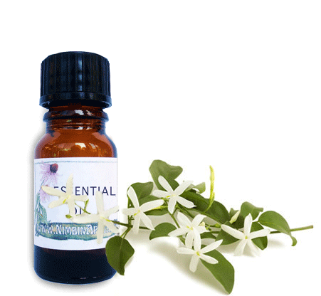 Nimbin apothecary sells jasmine oil online, revitalising and relaxing