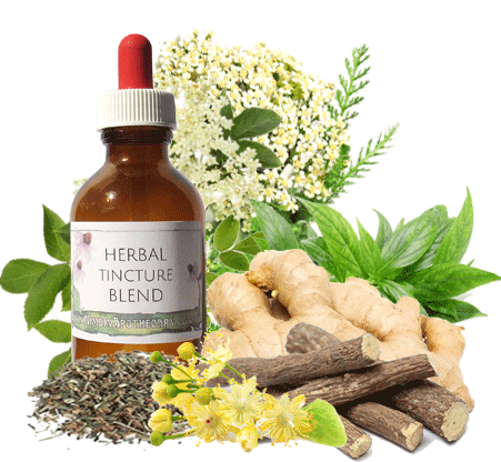 Kick a Germ - Herbal Extract