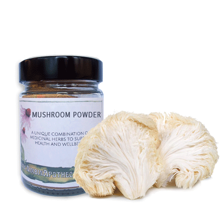 Lion's Mane Mushroom Powder