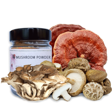 Medicinal Mushrooms