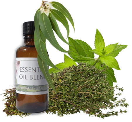 Nimbin apothecary sells breathe easy oil online, a combination of oils to relieve congestion