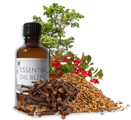 Nimbin apothecary sells dragon oil online to relieve colds and caughs