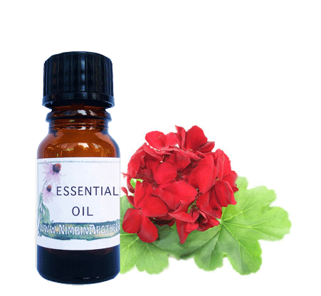Geranium Oil