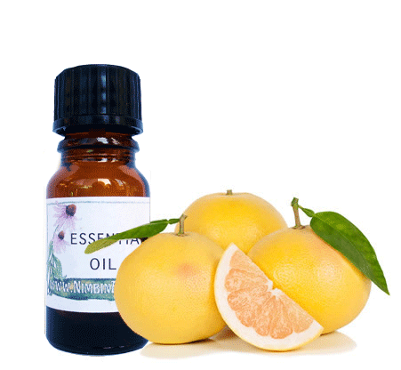 Nimbin apothecary sells aromatic grapefruit oil online