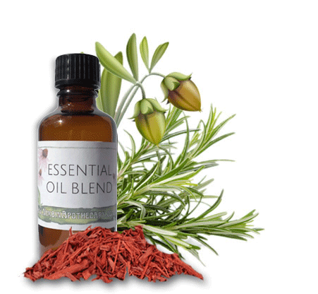 Nimbin apothecary sells hair and scalp oil online, a soothing and nourishing oil for hair and scalp