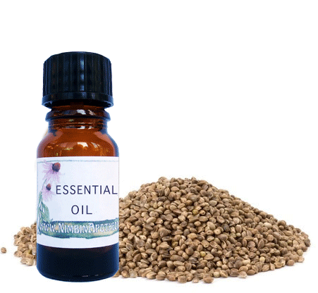 Nimbin apothecary sells hemp seed oil online, good for cosmetics, massage NSW