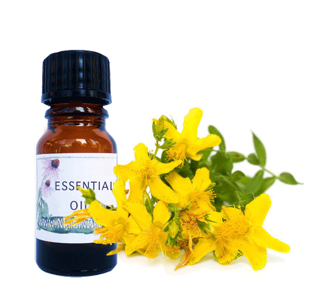 Nimbin apothecary sells athe anti-bacterial hypericum infused oil