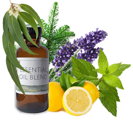 Nimbin apothecary sells Kick a Germ oil online, to ward off colds and flu and help with sinus congestion