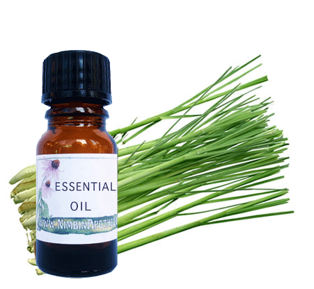 Nimbin apothecary sells lemongrass oil online