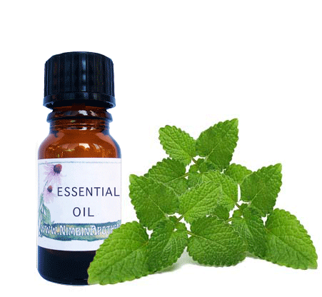 Nimbin apothecary sells melissa oil / lemon balm oil online, ideal for relaxation