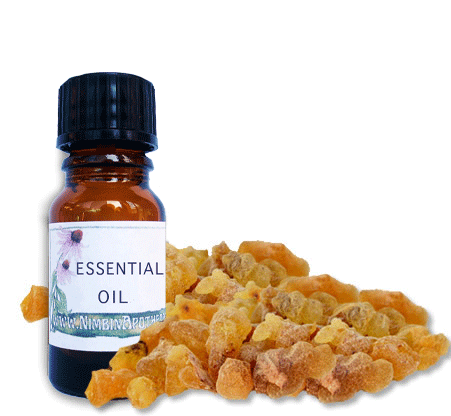 Nimbin apothecary sells myrrh oil online, motivation and coolness