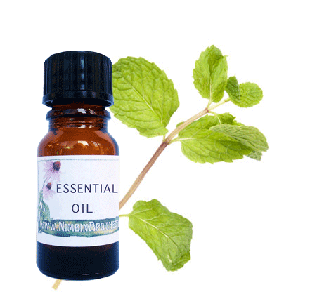 Nimbin apothecary sells scented patchouli oil online