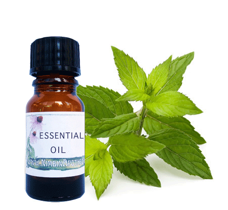 Nimbin apothecary sells uplifting peppermint oil online, a tonic and relieving congestion oil