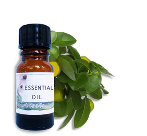 Nimbin apothecary sells petitgrain oil online, soothing and calming oil