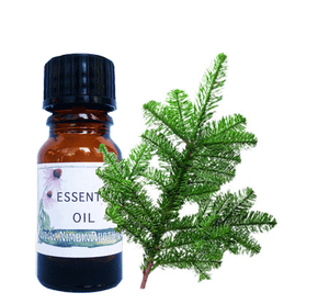 Nimbin apothecary sells Pine oils online, natural desinfectant