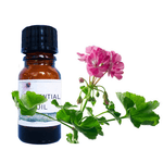 Nimbin apothecary sells rose geranium oil online, reviving and cleansing the skin