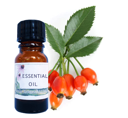 Nimbin apothecary sells rosehip oil online, a cleansing and relaxing oil for hair and scalp
