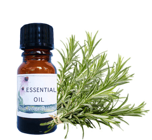 Nimbin apothecary sells rosemary oil online, for mind, memory, hair and scalp
