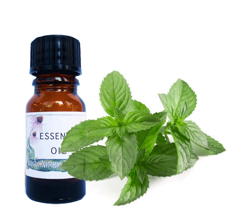 Nimbin apothecary sells spearmint oil online, stimulating oil helping digestion